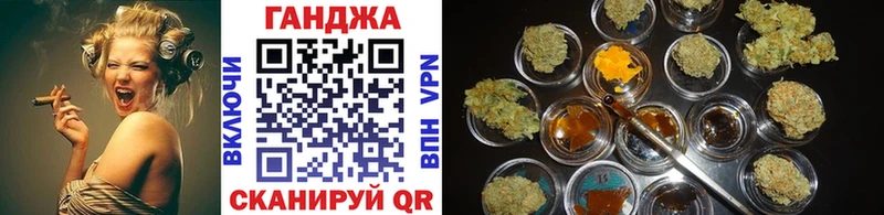 Купить где  Владимир  Каннабис сатива 